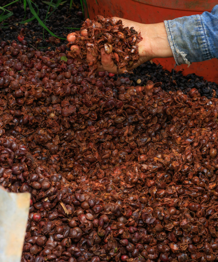 Forestry Mulching