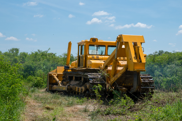 Why Forestry Mulching Is the Smartest Way to Clear Overgrown Land in Marion County