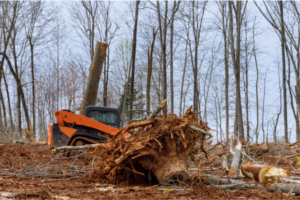 How Lake County Landowners Can Reclaim Overgrown Acreage the Right Way
